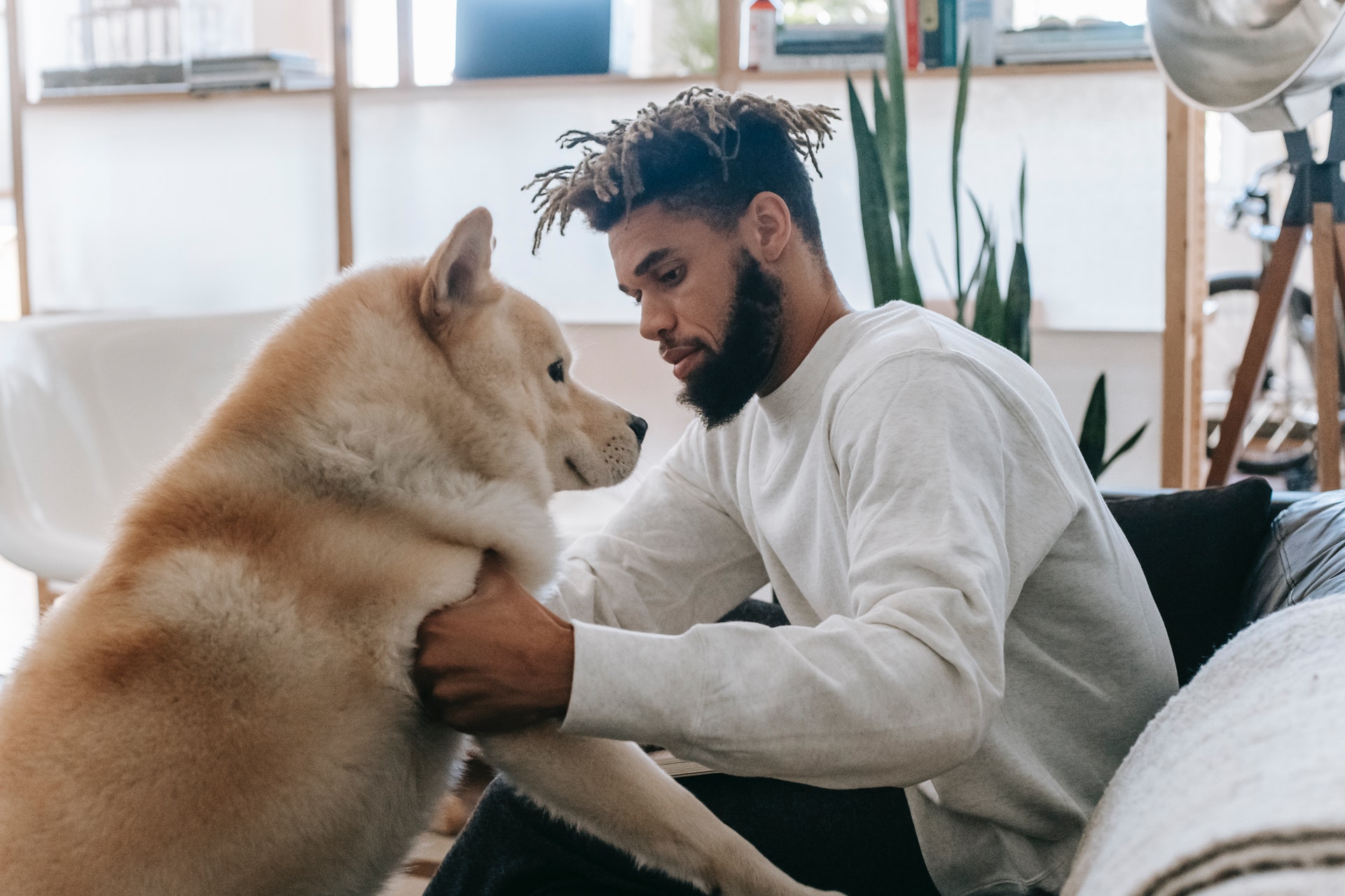 🐶 Ekonomiye Havlayanlar: Köpek Sahiplerinin Cüzdanla İmtihanı